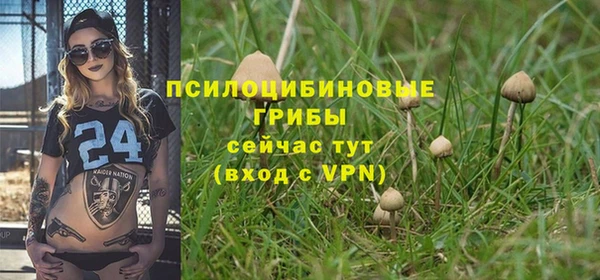 Альфа ПВП Алексеевка