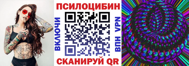 что такое   Миллерово  Псилоцибиновые грибы Psilocybine cubensis 